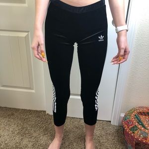 Velvet Adidas leggings